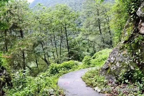省政协召开八届十五次主席会议